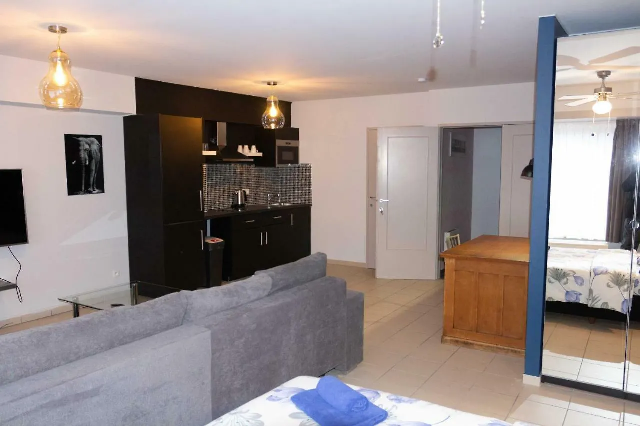 Renovated Apartment in Antwerp city center
