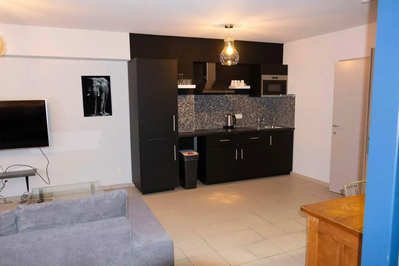 Renovated Apartment In Antwerp City Center
