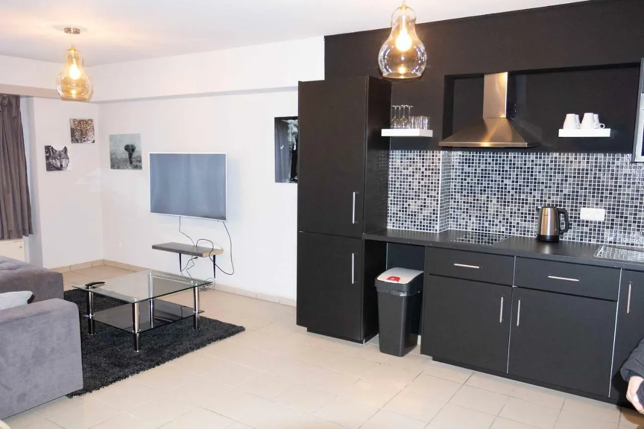 Renovated Apartment In Antwerp City Center